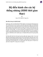 Hệ điều hành cho các hệ thống nhúng (hđh thời gian thực) 