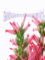 Bài giảng vật lý 6 thao giảng tìm hiểu kết quả qua tác dụng của lực (7) 