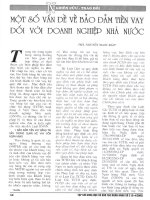 Một số vấn đề về bảo đảm tiền vay đối với doanh nghiệp nhà nước 