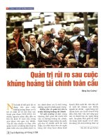Quản trị rủi ro sau cuộc khủng hoảng tài chính toàn cầu 