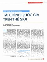 Giới thiệu mô hình giám sát tài chính quốc gia trên thế giới 