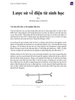 Lược sử về điện từ sinh học 