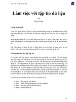 Làm việc với tập tin dữ liệu 