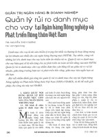 Quản lý rủi ro danh mục cho vay tại ngân hàng nông nghiệp và phát triển nông thôn việt nam 