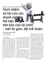 Trách nhiệm xã hội của các doanh nghiệp thể hiện trên báo cáo tài chính   xét từ góc độ kế toán 