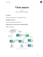 Virus macro 