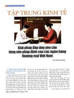 Tập trung kinh tế   giải pháp đáp ứng yêu cầu tăng vốn pháp định của các ngân hàng thương mại việt nam 