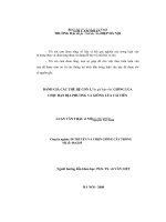 ĐÁNH GIÁ các THẾ hệ CON LAI GIỮA các GIỐNG lúa CHỊU hạn địa PHƯƠNG và GIỐNG lúa cải TIÊN 