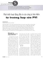 Phát triển hoạt động đầu tư của công ty bảo hiểm từ trường hợp của PVI 