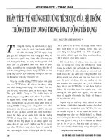 Phân tích về những hiệu ứng tích cực của hệ thống thông tin tín dụng trong hoạt động tín dụng 