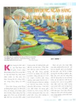 Vốn tín dụng ngân hàng thúc đẩy phát triển kinh tế   xã hội ở kiên giang 