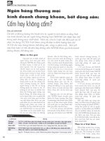 Ngân hàng thương mại kinh doanh chứng khoán, bất động sản cấm hay không cấm 