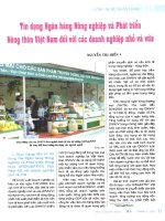 Tín dụng ngân hàng nông nghiệp và phát triển nông thôn việt nam đối với các dghiệp nhỏ và vừa 