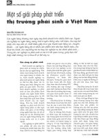 Một số giải pháp phát triển thị trường phái sinh ở việt nam 