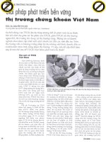 Giải pháp phát triển bền vững thị trường chứng khoán việt nam 