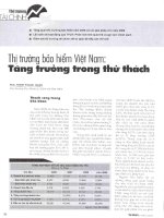 Thị trường bảo hiểm việt nam tăng trưởng trong thử thách 