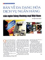 Bàn về đa dạng hóa dịch vụ ngân hàng của ngân hàng thương mại việt nam 