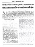 Trái phiếu chuyển đổi giải pháp huy động vốn cho doanh nghiệp việt nam trong giai đoạn thị trường chứng khoán nhiều biến động 