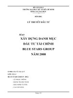 XÂY DỰNG DANH MỤC ĐẦU TƯ TÀI CHÍNH BLUE STARS GROUP NĂM 2008