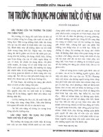 Thị trường tín dụng phi chính thức ở việt nam 