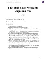 Thảo luận nhóm về các lựa chọn sinh con 