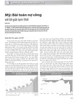 Bài toán nợ công với lời giải tạm thời 