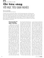 Chi tiêu công với mục tiêu giảm nghèo 