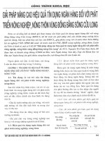 Giải pháp nâng cao hiệu quả tín dụng ngân hàng đối với phát triển nông nghiệp, nông thôn vùng đồng bằng sông cửu long 