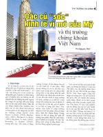 Các cú sốc kinh tế vĩ mô của mỹ và thị trường chứng khoán việt nam 