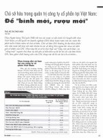 Chủ sở hữu trong quản trị công ty cổ phần tại việt nam để bình mới, rượu mới 