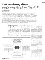 Thẻ cân bằng điểm trong đo lường hiệu quả hoạt động của doanh nghiệp 