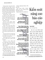 Kiểm soát từ ngoài   giải pháp nâng cao chất lượng kiểm toán báo cáo tài chính các doanh nghiệp niêm yết 