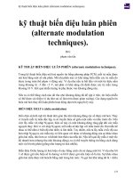 kỹ thuật biến điệu luân phiên (alternate modulation techniques)  