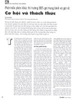 Phát triển phân khúc thị trường thị trường bđs giá trung bình và giá rẻ cơ hội và thách thức 