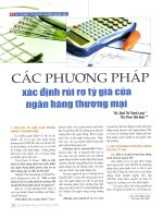 Các phương pháp xác định rủi ro tỷ giá của ngân hàng thương mại 