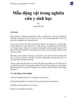 Mẫu động vật trong nghiên cứu y sinh học 