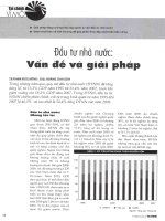 Đầu tư nhà nước vấn đề và giải pháp 