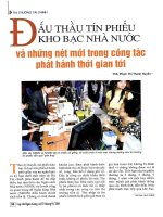 Đấu thầu tín phiếu kho bạc nhà nước và những nét mới trong công tác phát hành thời gian tới 