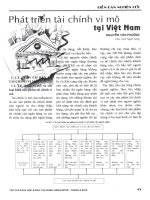 Phát triển tài chính vi mô tại việt nam 