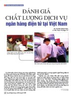 Đánh giá chất lượng dịch vụ ngân hàng điện tử tại việt nam 