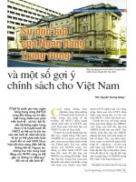 Sự độc lập của ngân hàng trung ương và một số gợi ý chính sách cho việt nam 