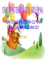 Bài giảng địa lý 9 phân bố dân cư và các loại hình quần cư (5) 
