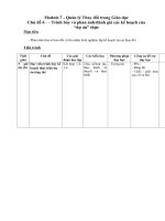 Trình bày và phản ánh/đánh giá các kế hoạch của “dự án” thực