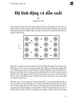 Độ linh động và dẫn xuất 