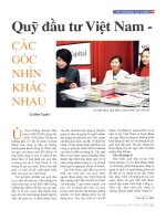 Quỹ đầu tư việt nam   các góc nhìn khác nhau 