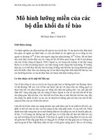 Mô hình lưỡng miền của các bộ dẫn khối đa tế bào 