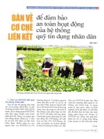 Bàn về cơ chế liên kết để đảm bảo an toàn hoạt động của hệ thống quỹ tín dụng nhân dân 