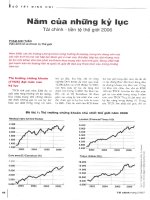 Năm của những kỷ lục (tài chính   tiền tệ thế giới 2006) 