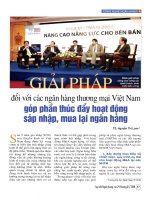Giải pháp đối với các ngân hàng thương mại việt nam góp phần thúc đẩy hoạt động sáp nhập, mua lại ngân hàng 