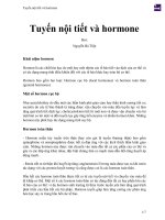 Tuyến nội tiết và hormone 